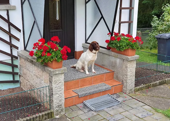 Lejlighed Harztraum *